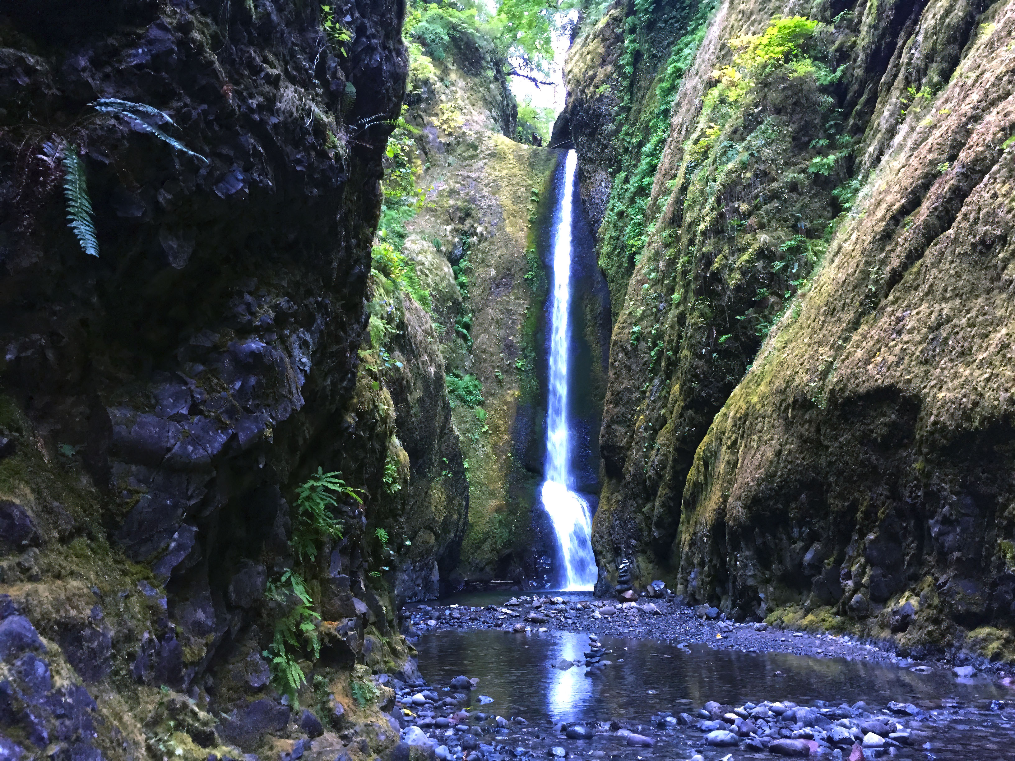 Oneonta Gorge, Before the Fire