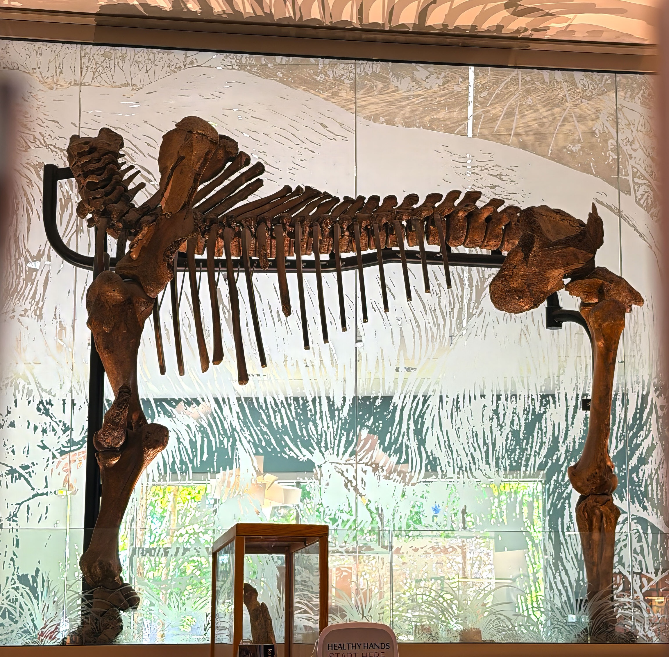 A Mastodon Among the Books